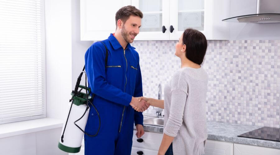 Why choose Office Building Treatments Kimball Junction for office building treatments in Kimball Junction